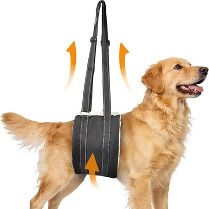 WezzaFamme Pet Dog Rear Leg Injury Recovery Support Harness